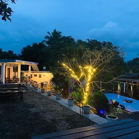 Lily Resort 우다왈라웨 외부 사진